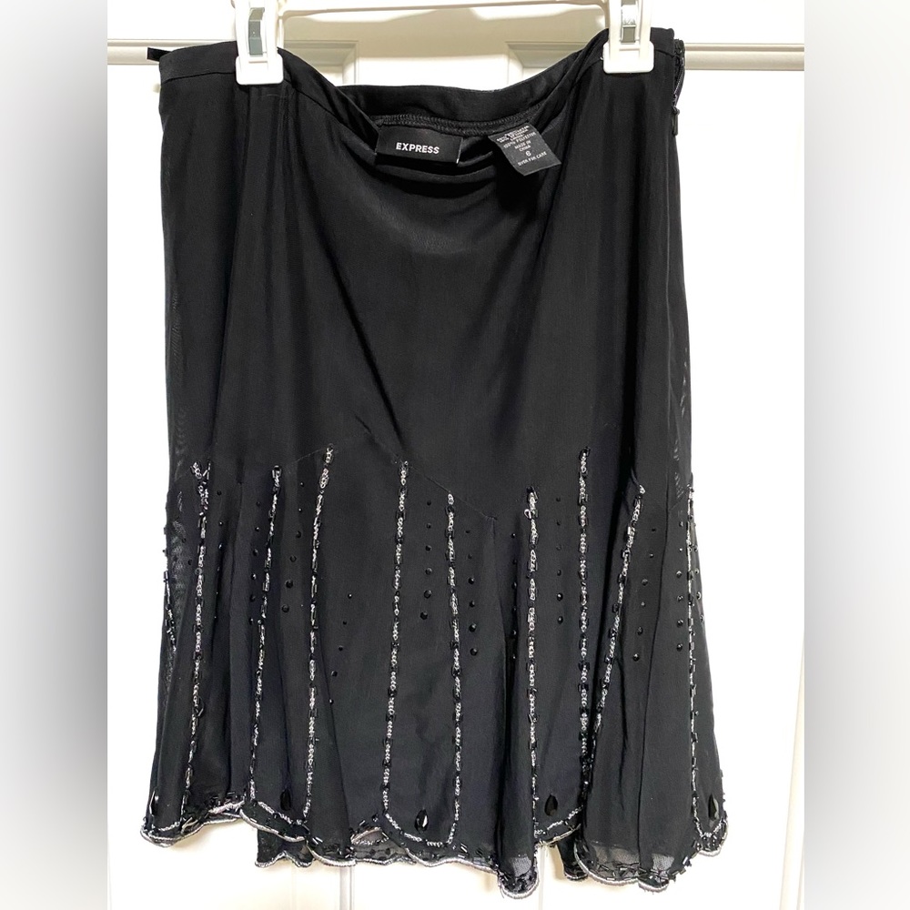 Express skirt with silver embroidery